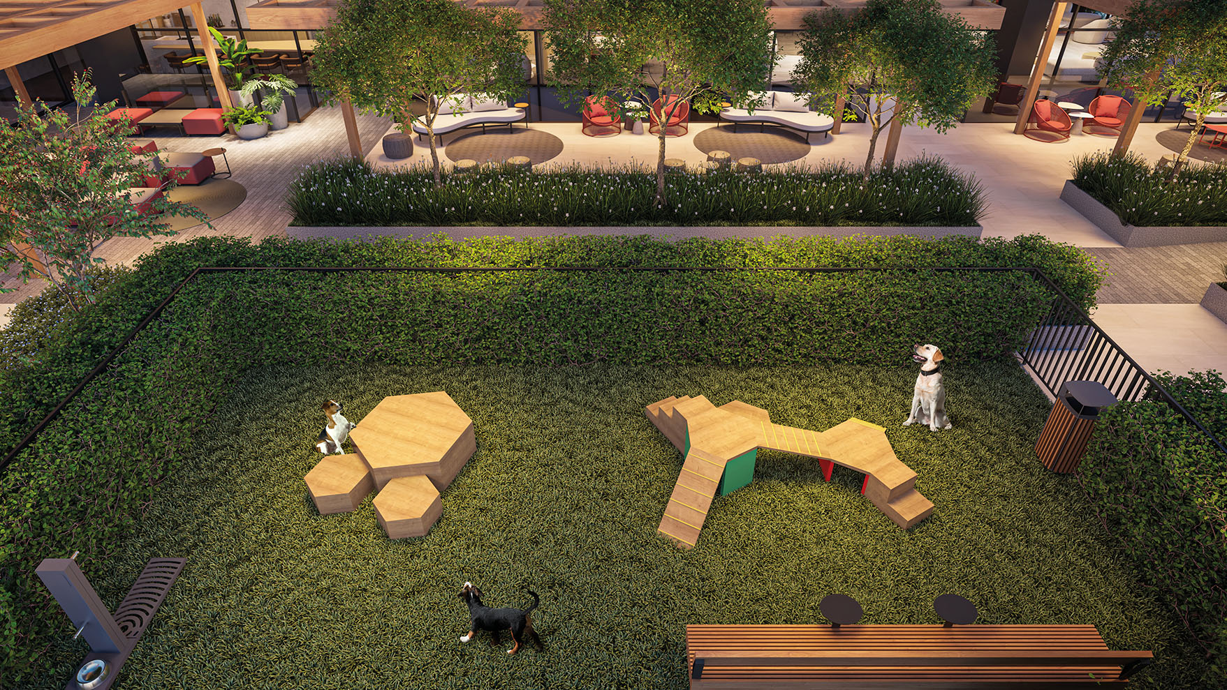 EDIFICATTO_LS_petplace_rev02_high